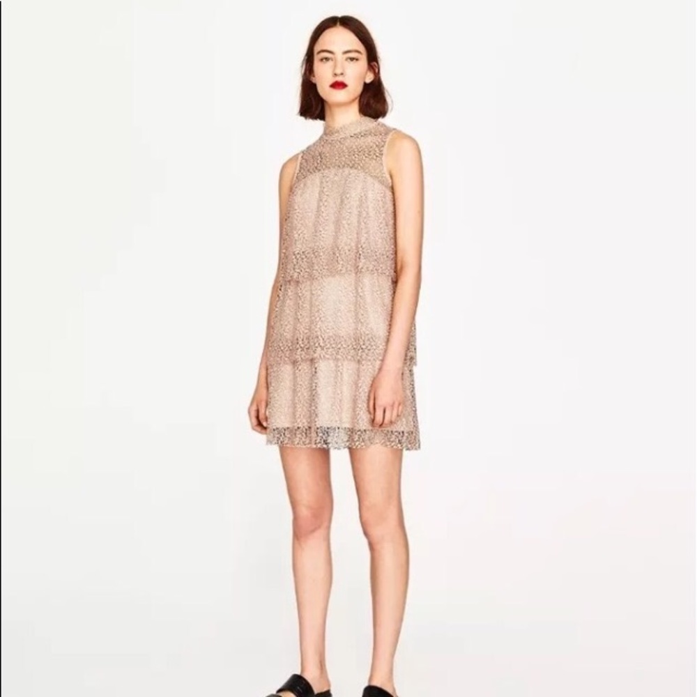 Zara lace nude mini dress small